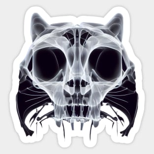 Skeleton of a bear in x-rays. Sticker